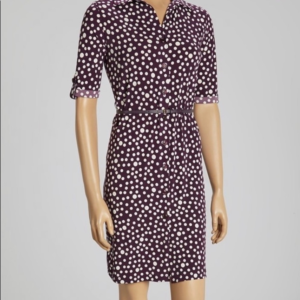 NWT Purple dot dress with matching belt size 14